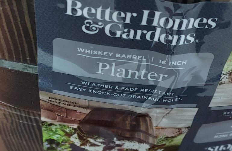 Auctions image thumbnails