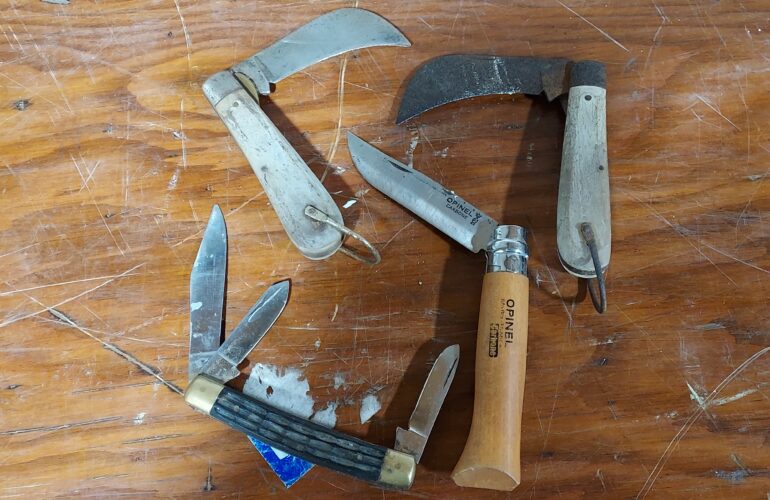 Auctions image thumbnails