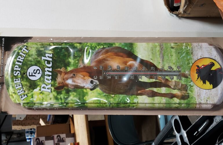 Auctions image thumbnails