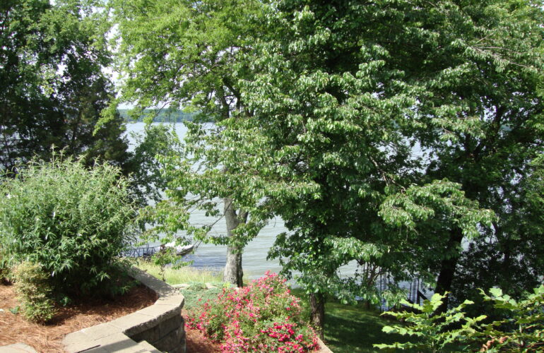 Auctions image thumbnails