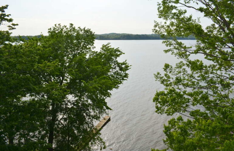 Auctions image thumbnails