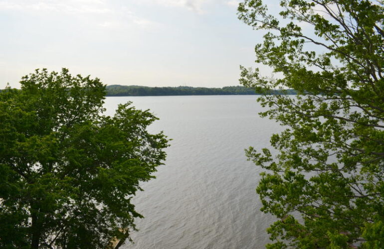 Auctions image thumbnails