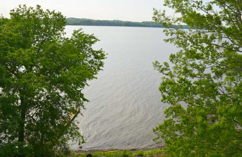 Auctions image thumbnails