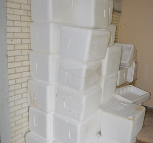 Auctions image thumbnails