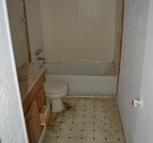 Auctions image thumbnails