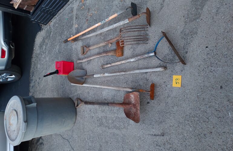 Auctions image thumbnails