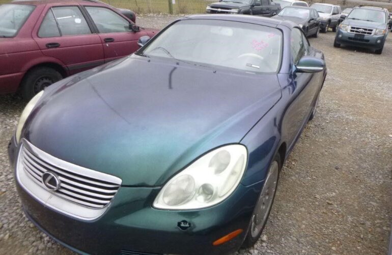 Auctions image thumbnails