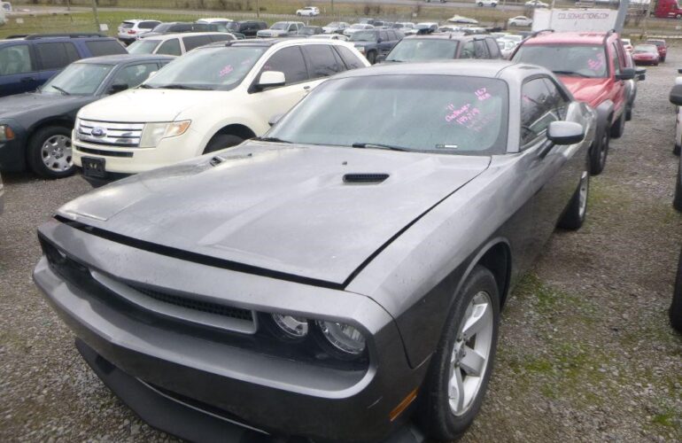 Auctions image thumbnails