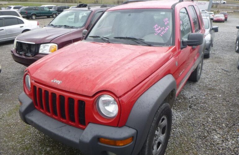 Public Auto Auction 1000 AM Start Time in 2023 Live Simulcast Auction Bidding will be online