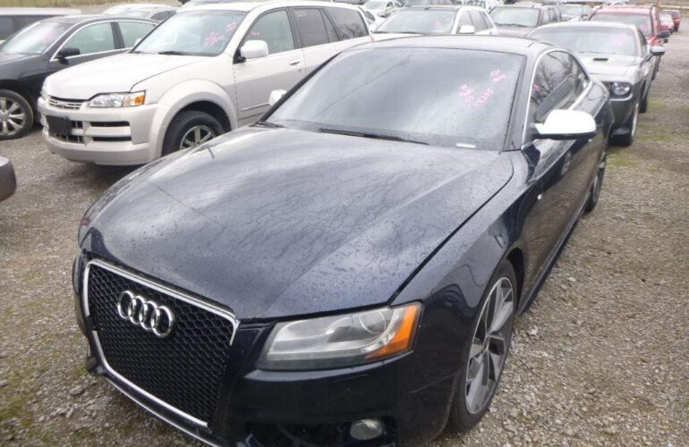 Auctions image thumbnails