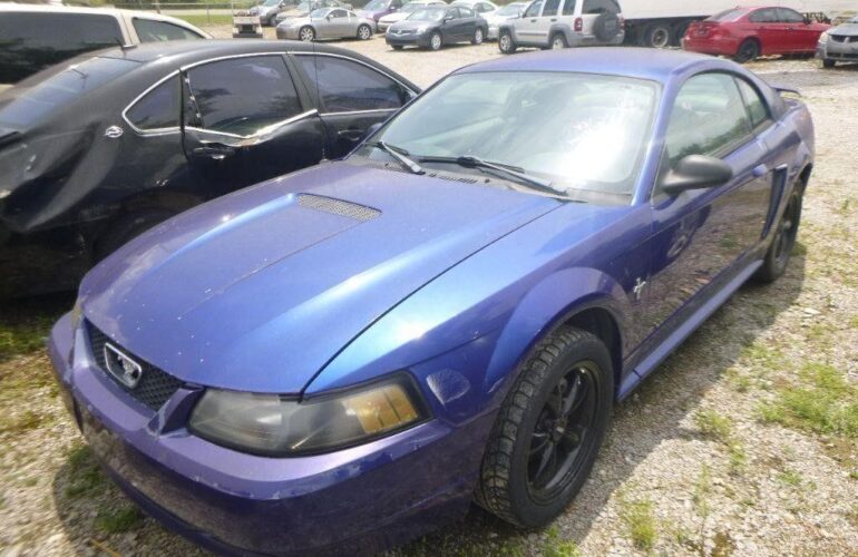 Auctions image thumbnails