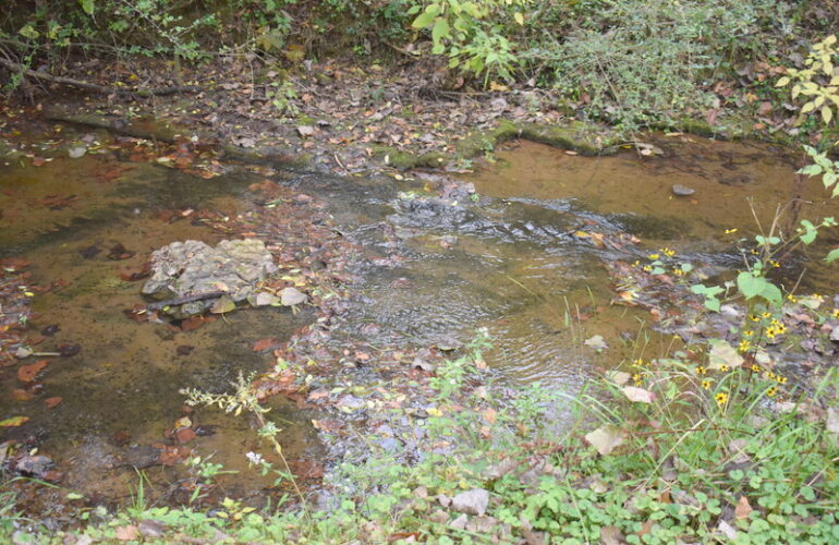 Auctions image thumbnails