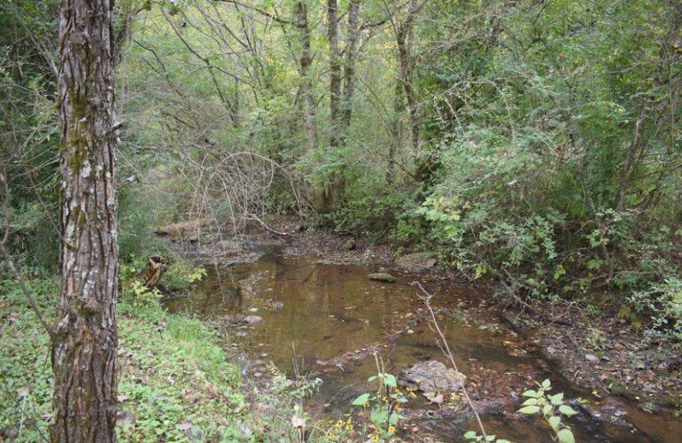 Auctions image thumbnails