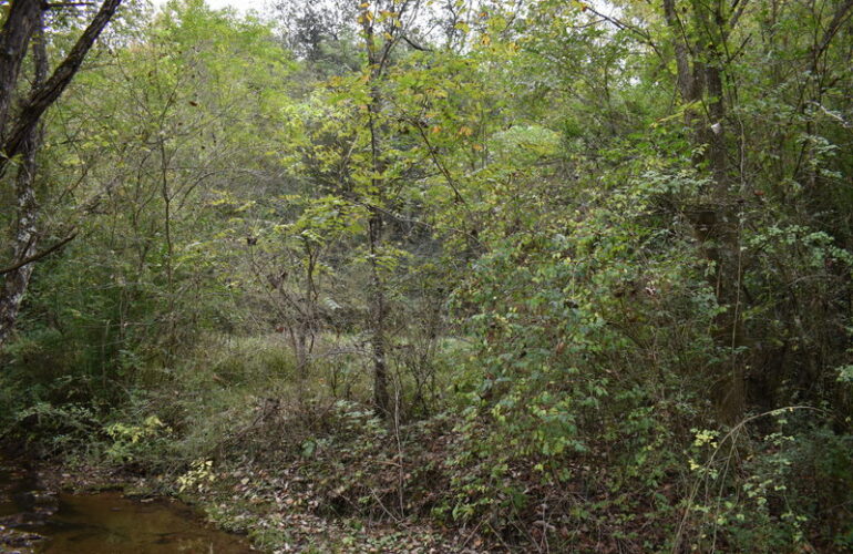 Auctions image thumbnails