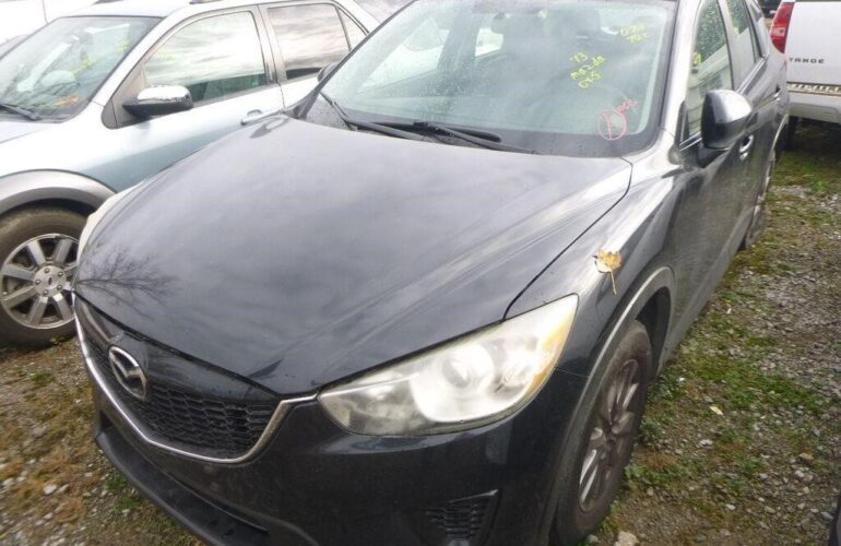 Auctions image thumbnails