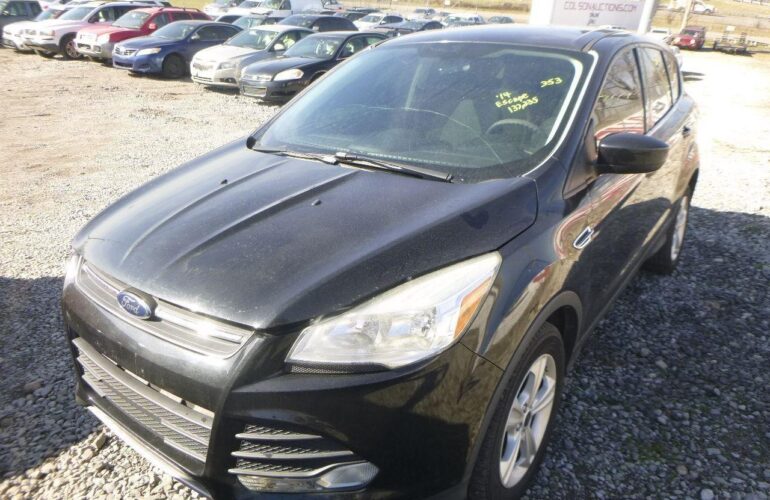 Auctions image thumbnails