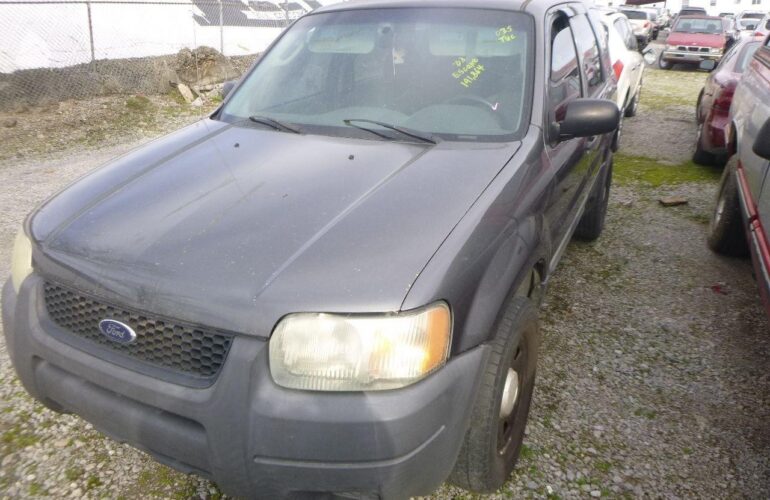 Auctions image thumbnails