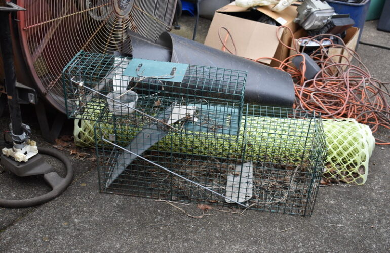 Auctions image thumbnails