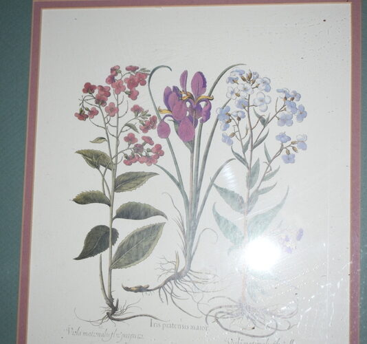 Auctions image thumbnails