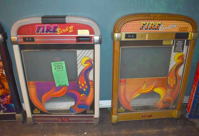 Fire Bird and Fire Country video game console