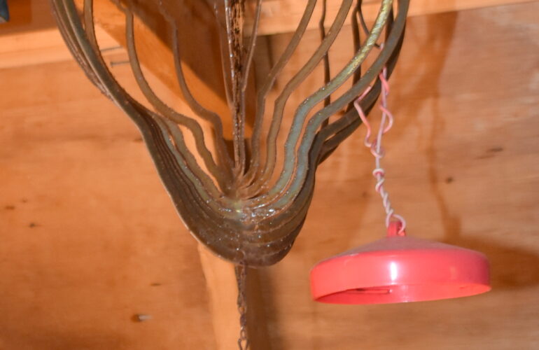 Auctions image thumbnails