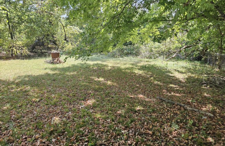 Auctions image thumbnails