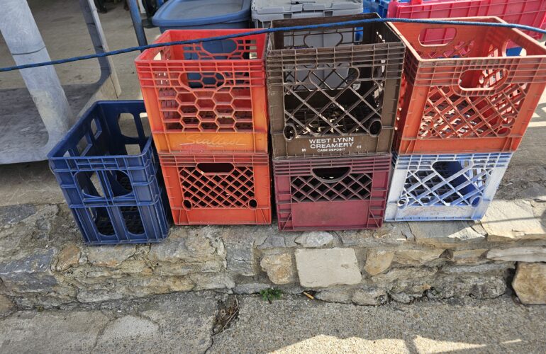 Auctions image thumbnails