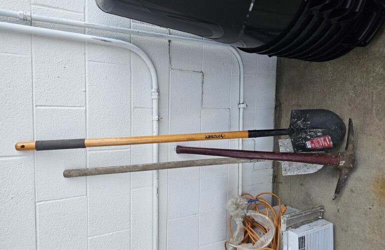 Auctions image thumbnails