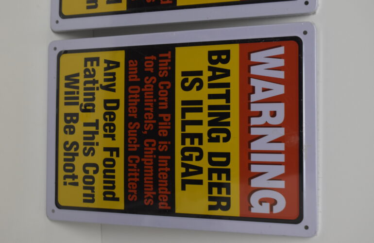 Auctions image thumbnails